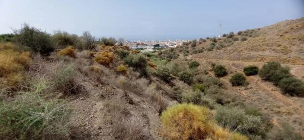 Terreno en El Morche