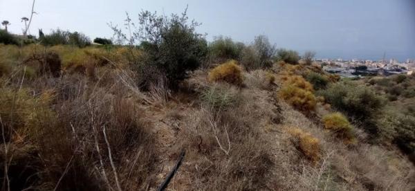 Terreno en El Morche