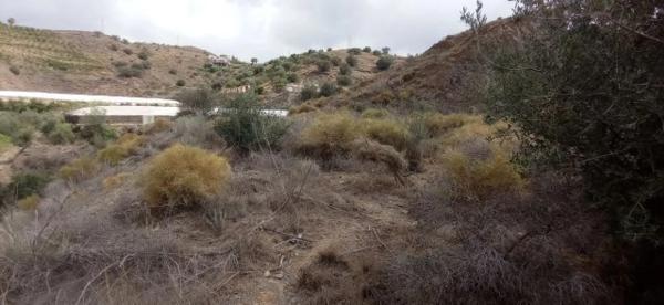 Terreno en El Morche