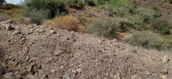 Terreno en El Morche