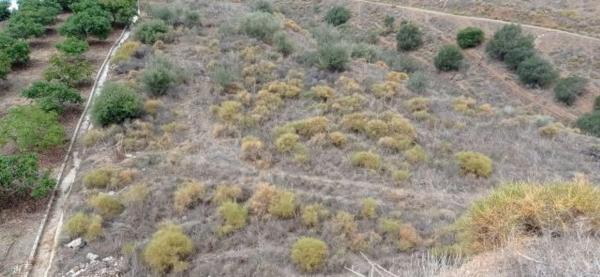 Terreno en El Morche