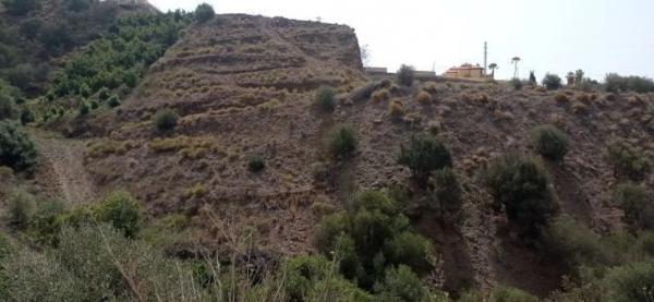 Terreno en El Morche