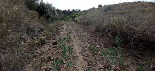 Terreno en El Morche