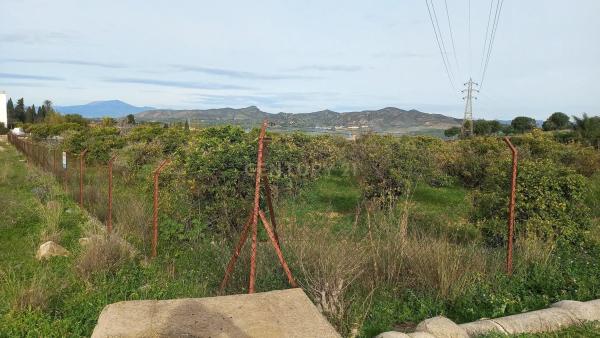 Terreno en calle Tubelorda s/n