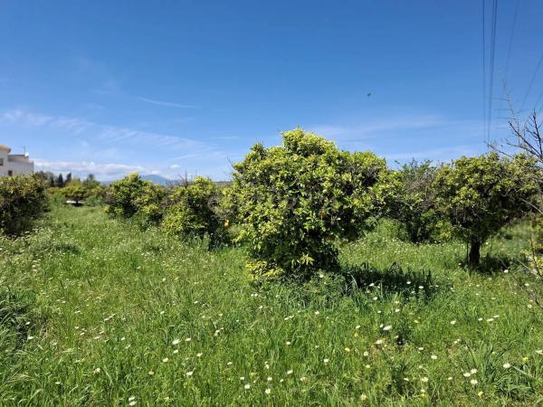 Terreno en calle Tubelorda s/n