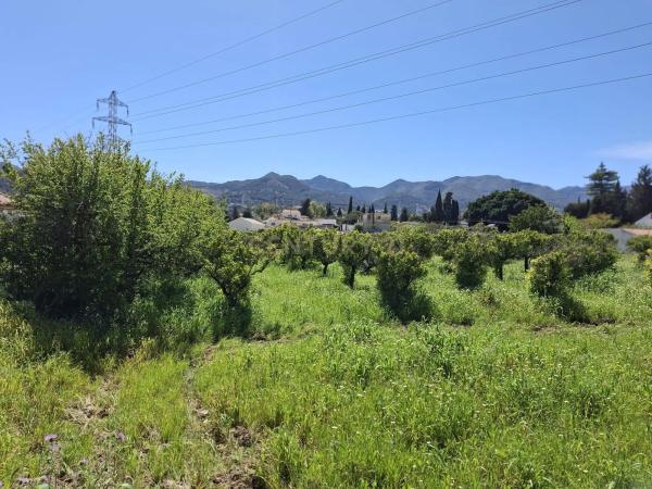 Terreno en calle Tubelorda s/n