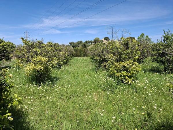 Terreno en calle Tubelorda s/n