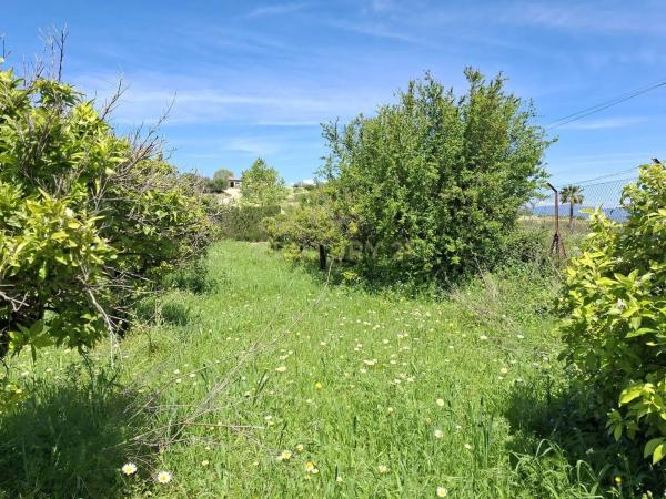 Terreno en calle Tubelorda s/n