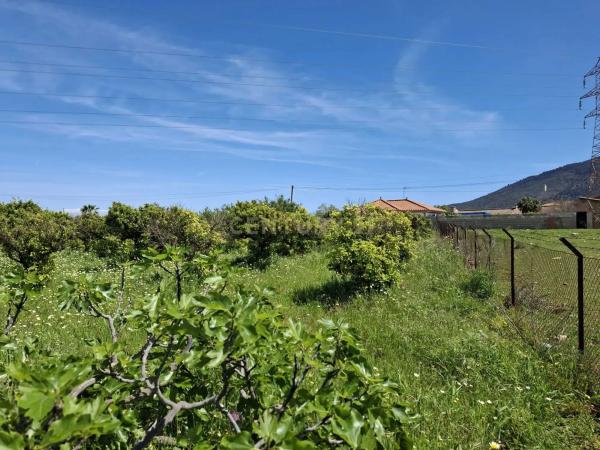 Terreno en calle Tubelorda s/n