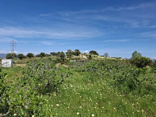 Terreno en calle Tubelorda s/n