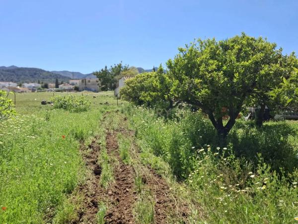 Terreno en calle Tubelorda s/n