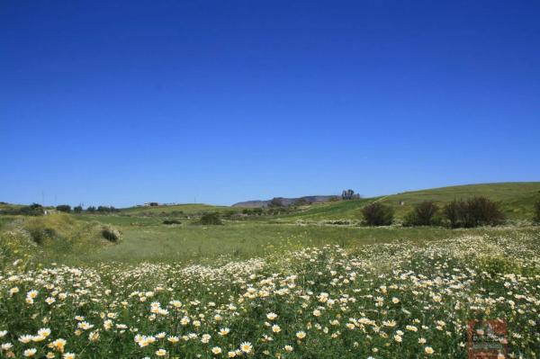 Terreno en carretera de los Carril de la Loma