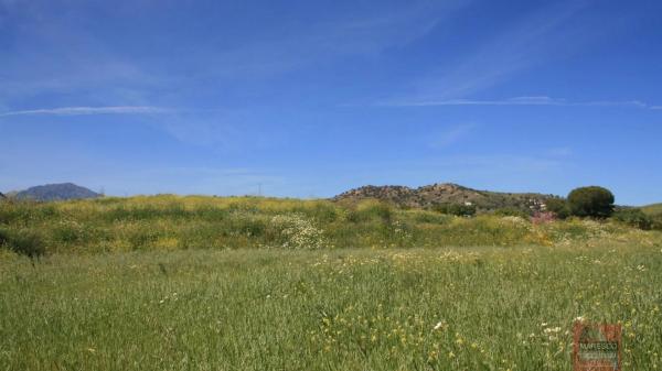 Terreno en carretera de los Carril de la Loma