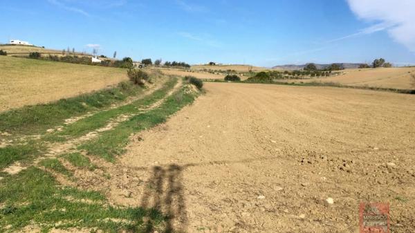 Terreno en carretera de los Carril de la Loma