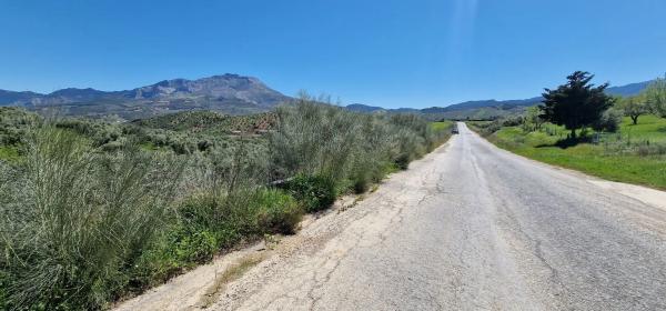 Terreno en calle Serrato s/n