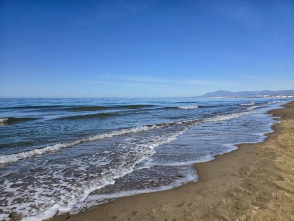 Terreno en Barrio Real de Zaragoza