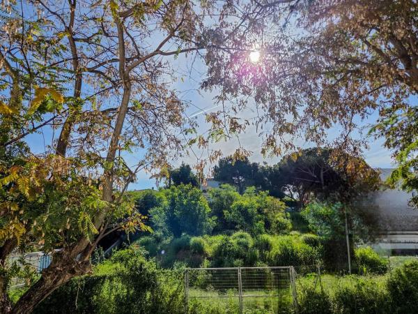Terreno en Barrio Real de Zaragoza