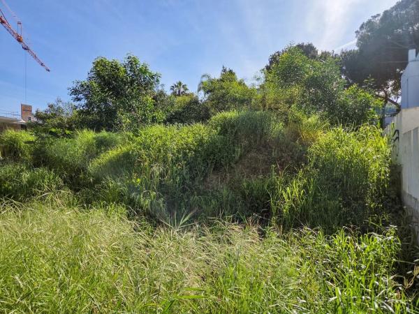 Terreno en Barrio Real de Zaragoza