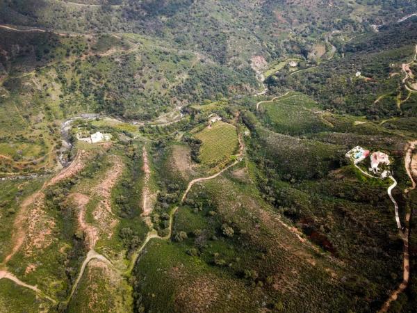 Terreno en Lugar la Piqueta