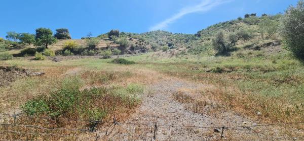 Terreno en Hoy Del Mezto, 3