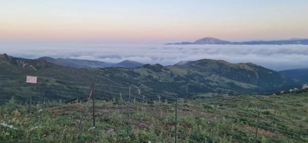 Terreno en Hoy Del Mezto, 3