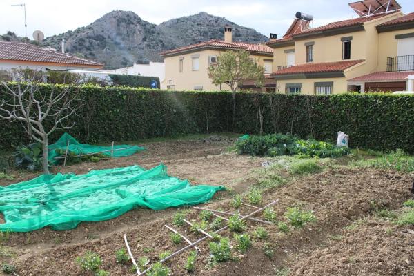 Terreno en calle Andalucía