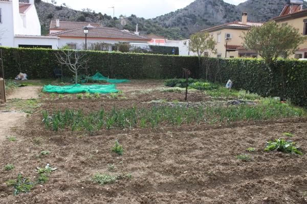 Terreno en calle Andalucía