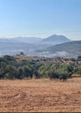 Terreno en Partido Gandia s/n