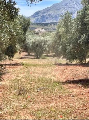 Terreno en Partido Gandia s/n