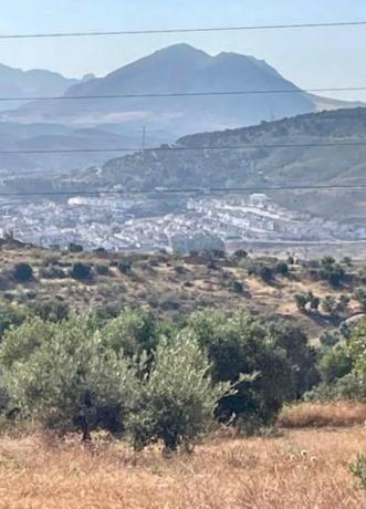 Terreno en Partido Gandia s/n