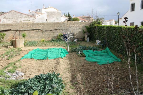 Terreno en calle Andalucía