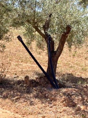 Terreno en Partido Gandia s/n