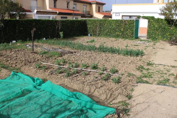 Terreno en calle Andalucía