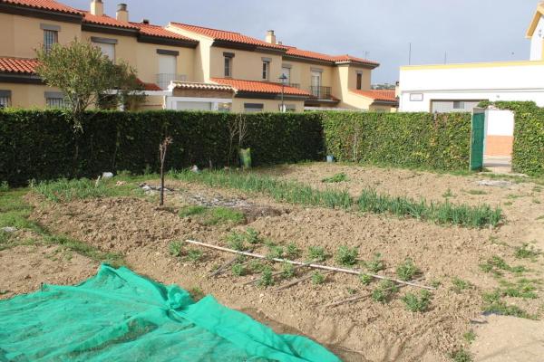 Terreno en calle Andalucía