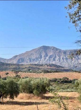 Terreno en Partido Gandia s/n