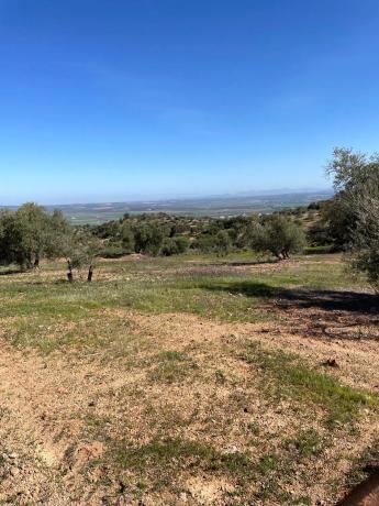 Terreno en Partido Gandia s/n