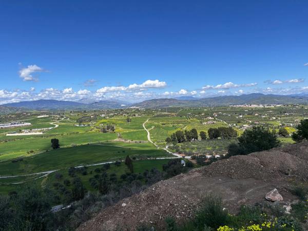 Terreno en calle Yunquera, 83