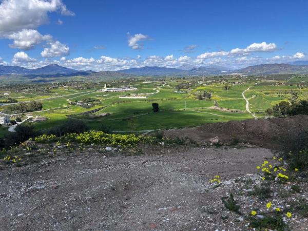 Terreno en calle Yunquera, 83