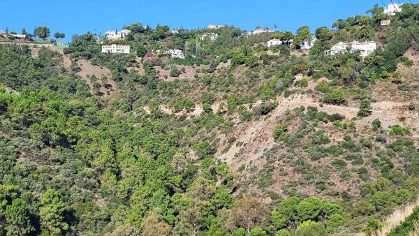 Terreno en El Madroñal