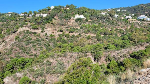 Terreno en El Madroñal