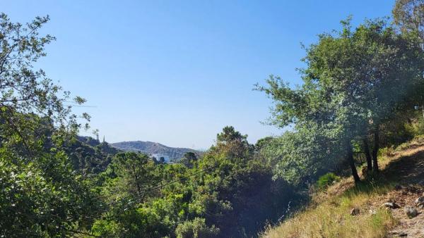Terreno en El Madroñal