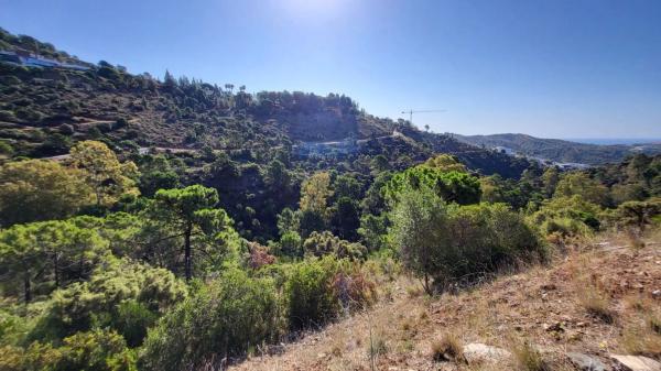 Terreno en El Madroñal