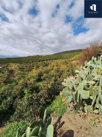Terreno en Almayate Bajo