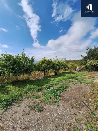 Terreno en Almayate Bajo