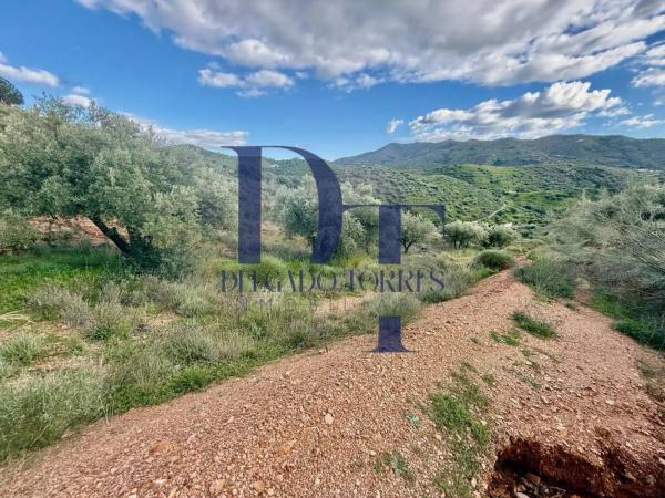 Terreno en Canillas de Aceituno