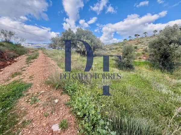 Terreno en Canillas de Aceituno