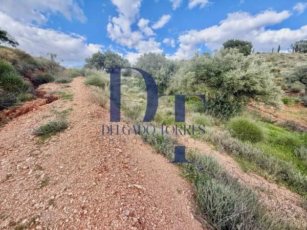 Terreno en Canillas de Aceituno