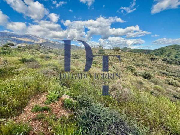 Terreno en Canillas de Aceituno