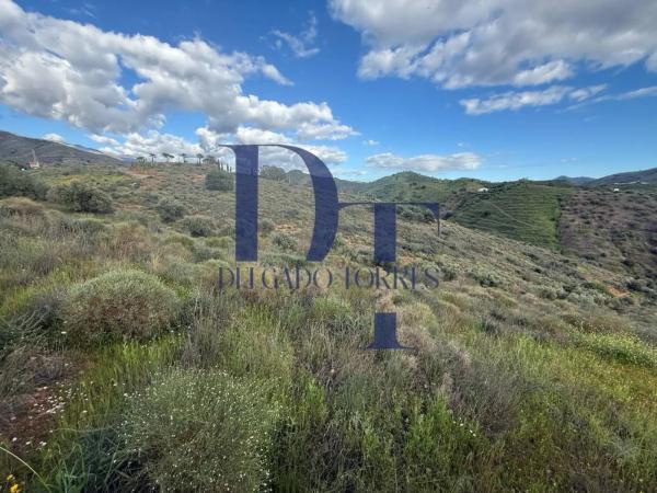 Terreno en Canillas de Aceituno