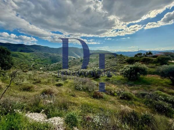 Terreno en Canillas de Aceituno